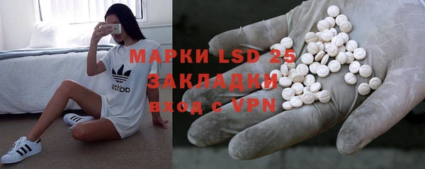 индика Осинники