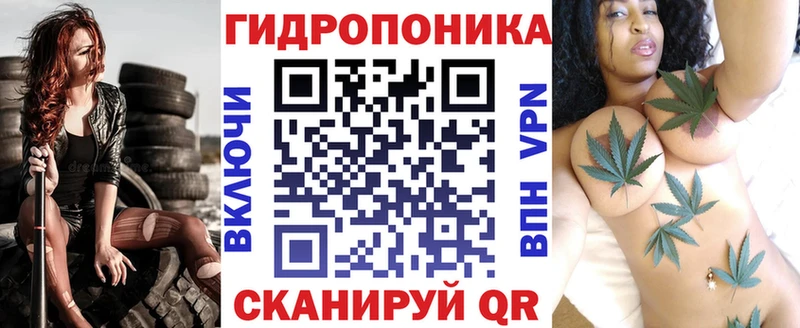 купить наркотики сайты Питкяранта Каннабис Ganja